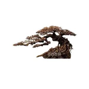 초보자용 침목 수초어항 모스나무 조경 DIY 소품