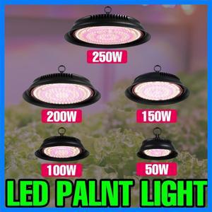 250W LED 식물 성장등 풀 스펙트럼 식물 수경재배 램프 미국/유럽 플러그 실내 화분 꽃 온실 텐트 토마토