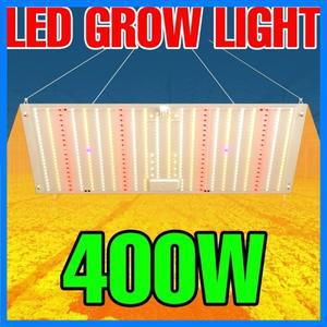 400W LED 풀 스펙트럼 성장등 퀀텀 보드 식물 UV 램프 실내 온실 텐트 채소 과일 수경재배 보조 조명