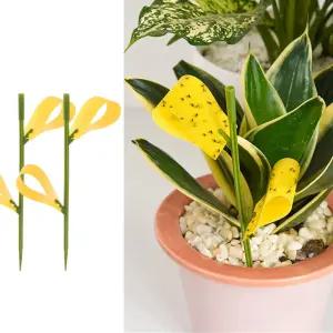 초파리 노랑 끈끈이 10세트 뿌리파리 트랩 노란 화분 날파리 바퀴