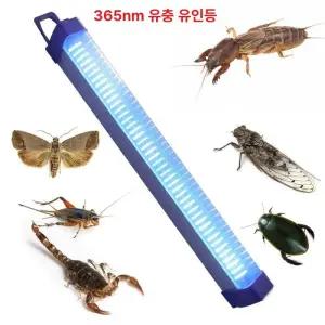 등화채집 장수풍뎅이 곤충 텐트 야생 잠자리