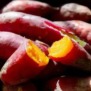 해남 꿀 고구마 특상 외 2~5kg