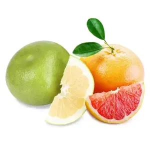 [거북농산]메로골드(청자몽) / 레드자몽 20개내외 (크기선택)