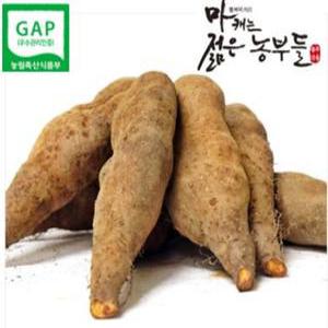 마 부용농산 산마2kg 안동마 젊은농부들  안동참마 산마알뜰마