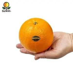 [썬키스트] 블랙라벨 고당도 오렌지 대과 2.5kg (10입)