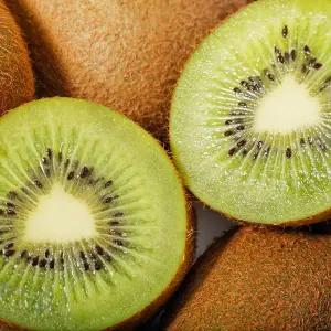 국내산 참다래 그린키위 햇 출하 / 10kg (105과전후 대과) 키위