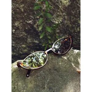 [앞머리]긱시크 너드 레오파드 골드라인 선글라스_P364526133