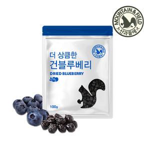 [산과들에] 건블루베리 100g x 4봉 / 총 400g 신선한 건과 건과일 간식 블루베리