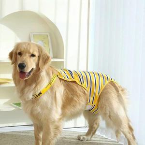 대형견 반려견 속옷 강아지 팬티 위생 기저귀