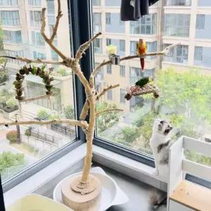 앵무새 새횟대 장난감 나무 놀이터 용품 울타리 70cm 설치 가능