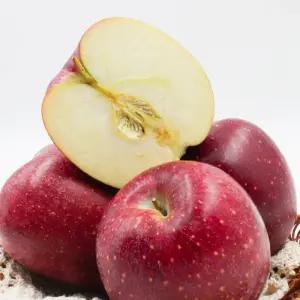 사과 5KG 청송 문경 감홍 부사 홍로 경북 꿀사과