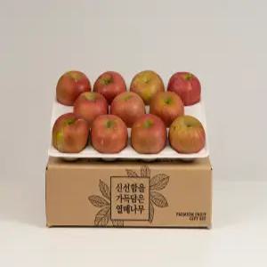 열매나무 거창 못난이 부사사과