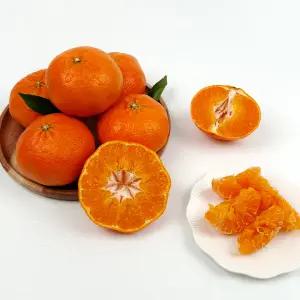 제주산 레드향 가정용 당도 좋은 감귤 중소/중/대과 2/3/5/10kg