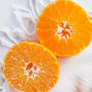 만감류의 여왕 레드향 못난이 9kg