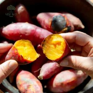 농협정품 호풍미 호박 세척고구마 한입 중 베니하루카 꿀 밤고구마 3kg