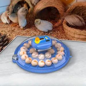 자동 계란 부화기 메추리 병아리 달걀 조류 유정란 회전