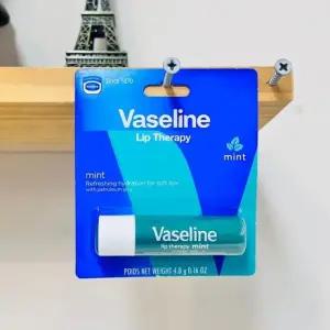 (ABM도매콜) 바세린 립테라피 립밤 민트 4.8g