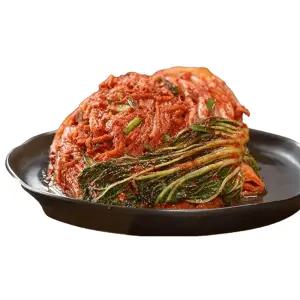 안문숙 포기김치