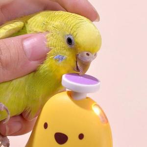 새 네일 그라인더 발톱 손톱깎이 다듬기 옐로우 부리 앵무새 손톱