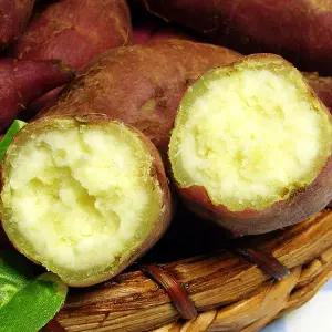 [푸르젠][산지직송]해남 김형식 생산자의 25년산 밤고구마 3kg(한입)