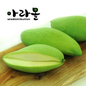 태국 그린망고 (Thailand Green Mango), 10-12과, (3kg)