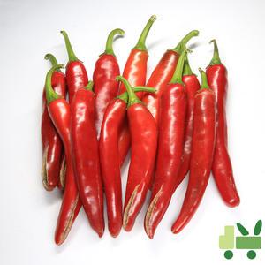 홍고추 10Kg (상)