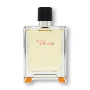 에르메스 떼르 데르메스 EDT 100ml