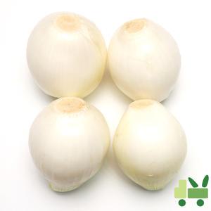 국산 깐양파 (1등) 20kg