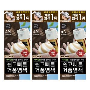미장센 미쟝센 올뉴 쉽고빠른 거품 염색약 4N짙은갈색 x3개