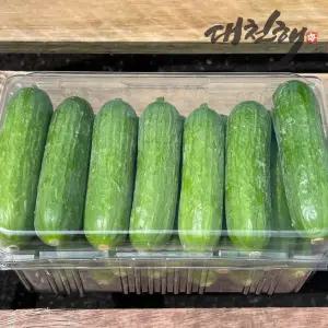 국내산 피콜리노 미니오이 1.5kg (20~24개 내외)