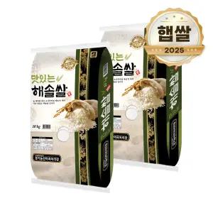 2025년 햅쌀 맛있는 해솔쌀 20kg