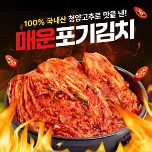 [100% 국산 청양고추] 말바우시장 선김치 매운 실비 김장김치