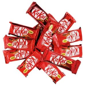 킷캣 미니 초콜릿 웨이퍼 20개 초코바 간식