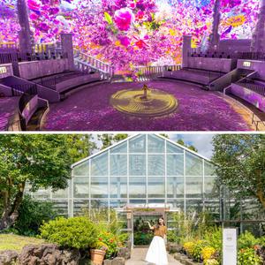 [제주] 노형수퍼마켓+카멜리아힐 입장권 / 실내관광지 미디어아트