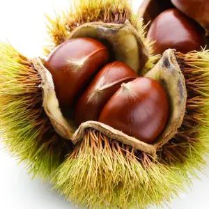 부여 햇밤 (중) 2kg / 2세트 주문시 5kg 발송