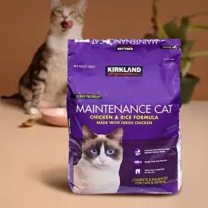 커클랜드 시그니춰 프리미엄 고양이 사료 11.34kg