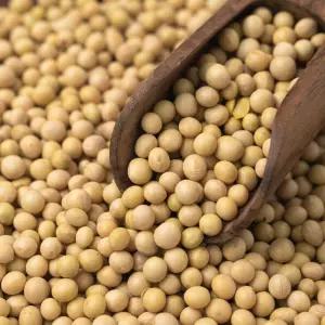 국산 백태 대두콩 1kg