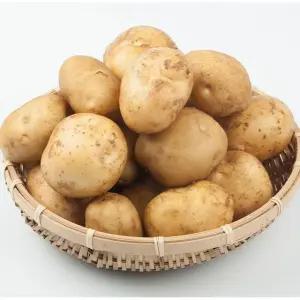 (TC)포슬포슬 세척 꿀맛 수미감자 중 10kg