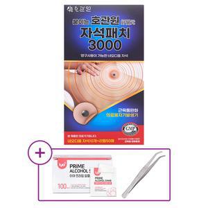 호관원 자석 파스 동전 관절 통증완화 샤론 3종 일본자석파스 청량 민트 피프 에레키반