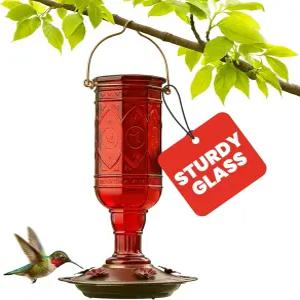 더 많은 새 레드 주얼 벌새 먹이기 유리병 5개의 먹이 포트 및 20온스 꿀 용량(76인치)
