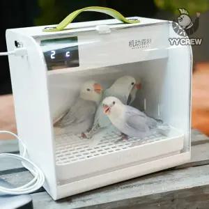 앵무새이동장 휴대용 저소음 산책 앵무새육추기 앵무새 충전식