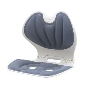 바른허리 접이식 쿠션체어 (WFK6DR6)