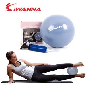 i워너304 미니 짐볼 25cm 펌프포함 펌프 마사지볼 요가볼 안티버스트
