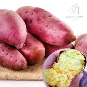 퍽퍽한 스콘구마 25호 밤고구마 3kg(특,개당250-350g)