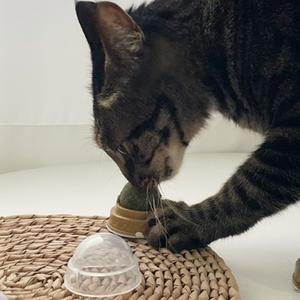 돌아가는 캣닙사탕 2p 캣잎볼 회전식 붙이는 헤어볼감소 음수량증가토이