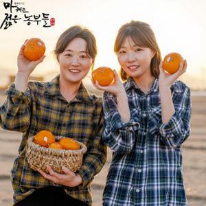 젊은농부들 제주 서귀포 감귤 3kg 5kg 밀감 로얄혼합/대과/못난이혼합과