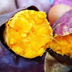 [웰굿] 풍원미 속이 노란 당근 고구마 10kg(특,개당250-350g)