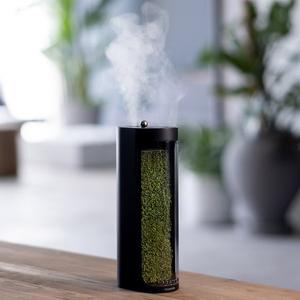 [무케렌시아][무케] 모스랩_천연이끼가습기 모스에어 블랙 가습기  데스크테리어 공기정화 반려식물