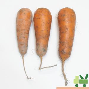 당근 (흙당근) 중 5kg