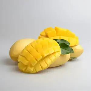 [더달과일] 필리핀 카라바오 골드망고 2.1kg / 5kg 항공수입 프리미엄 열대과일